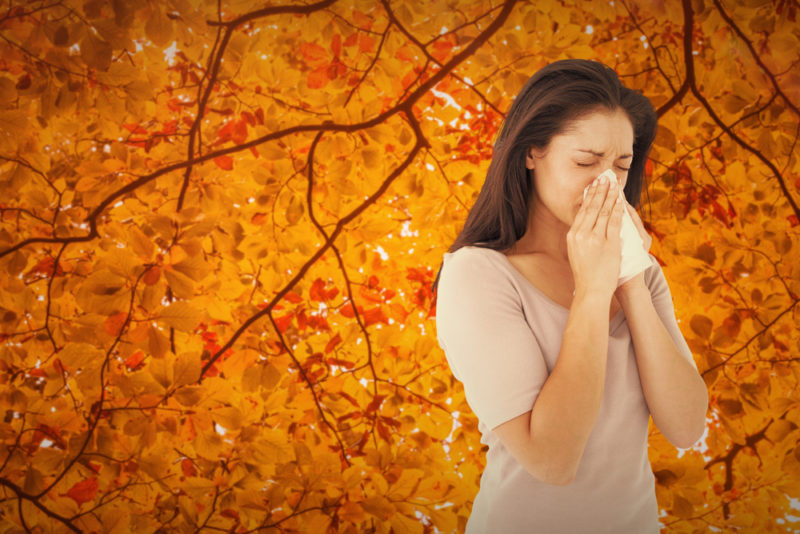 Fall Allergies in Florida What You Must Know